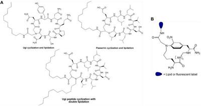 Chemical Conjugation in Drug Delivery Systems